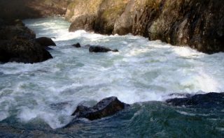 Green Wall Rapid - Illinois River