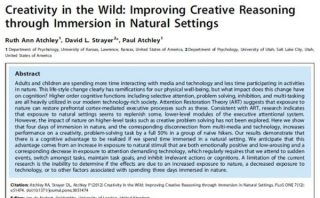 Creativity in Wild Study