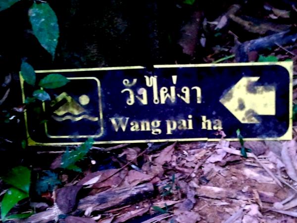Swimming Sign - Khao Sok National Park - Thailand