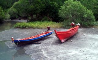 Long Tail Boats - Little Koh Chang - Thailand