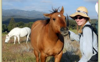 Horse Friends on the Pacific Crest Trail