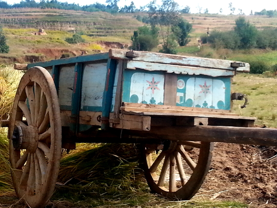Ox Cart - Antsirabe - Madagascar