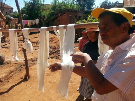 Drying Silk - Talata - Madagascar