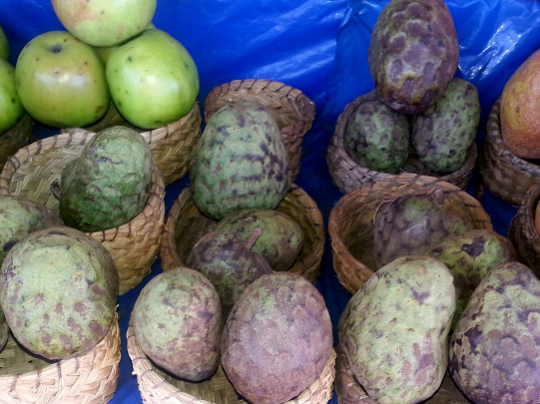 Coeur de Boef - Roadside Fruit Stand on RN7 - Madagascar