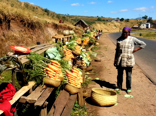 Vegetable Roadside Stand on RN7 - Madagascar