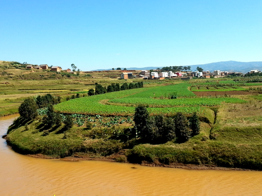 Vegetable Fields Off RN7 - Madagascar