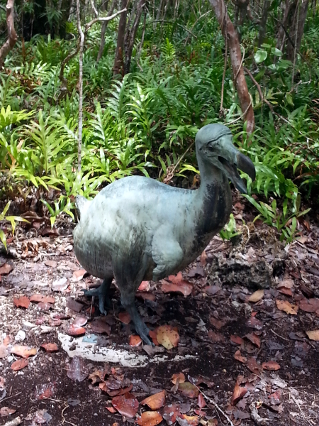 I did a double take when we came across this dodo in the forest. No, it's a statue, not a cloning project. Photo by Lori fisher.