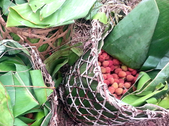 Baskets of Lychee - Toamasina - Madagascar