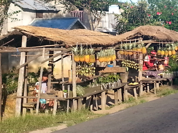 Pineapple Village on Route Nationale 2 in Madagascar