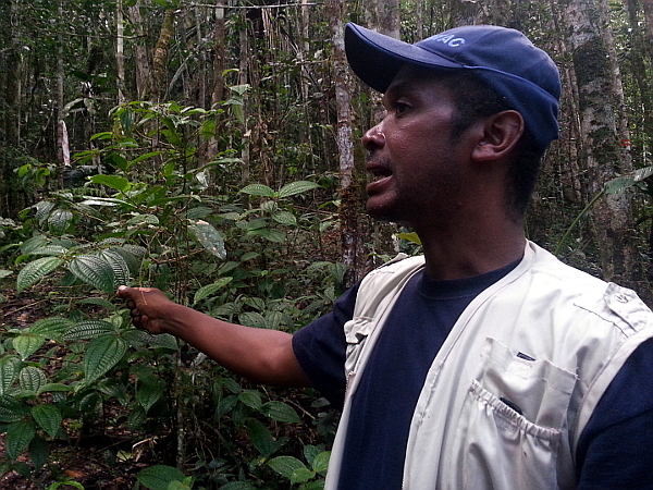 Bary - Mitsinjo Guide - Andasibe - Madagascar
