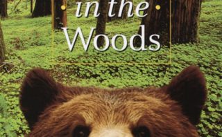 Click here to buy A Walk In the Woods at Amazon.com!